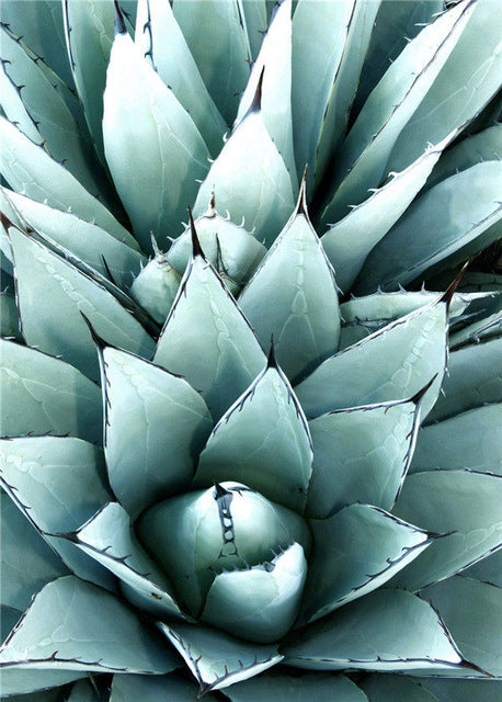 Cactus Flower Diamond Embroidery - Green Plant Design