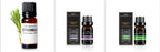 Essential Oils Set - Aromatherapy Collection