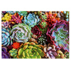 Succulent Plants Puzzle