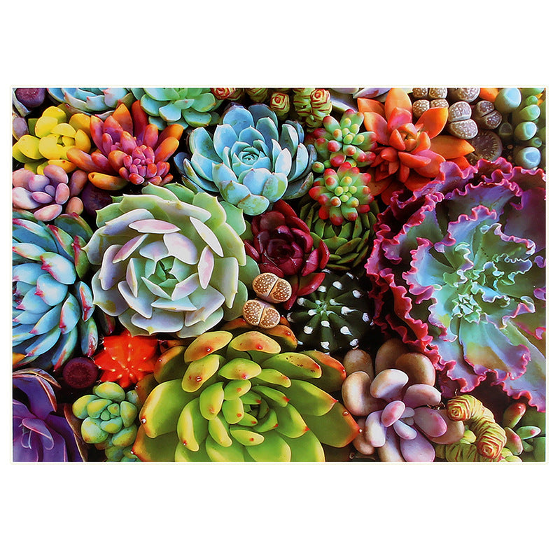 Succulent Plants Puzzle