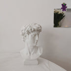 Nordic Retro David Vase - Hydroponic Ornament