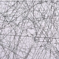 Black & White Challenge Line Puzzle