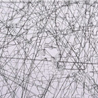 Black & White Challenge Line Puzzle