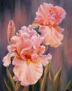 Stunning Flower Oil Paint By Numbers