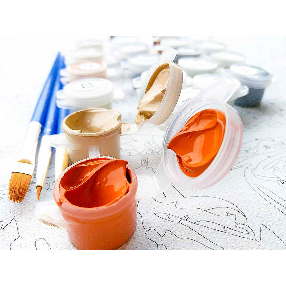 Color House Landscape Paint By Numbers