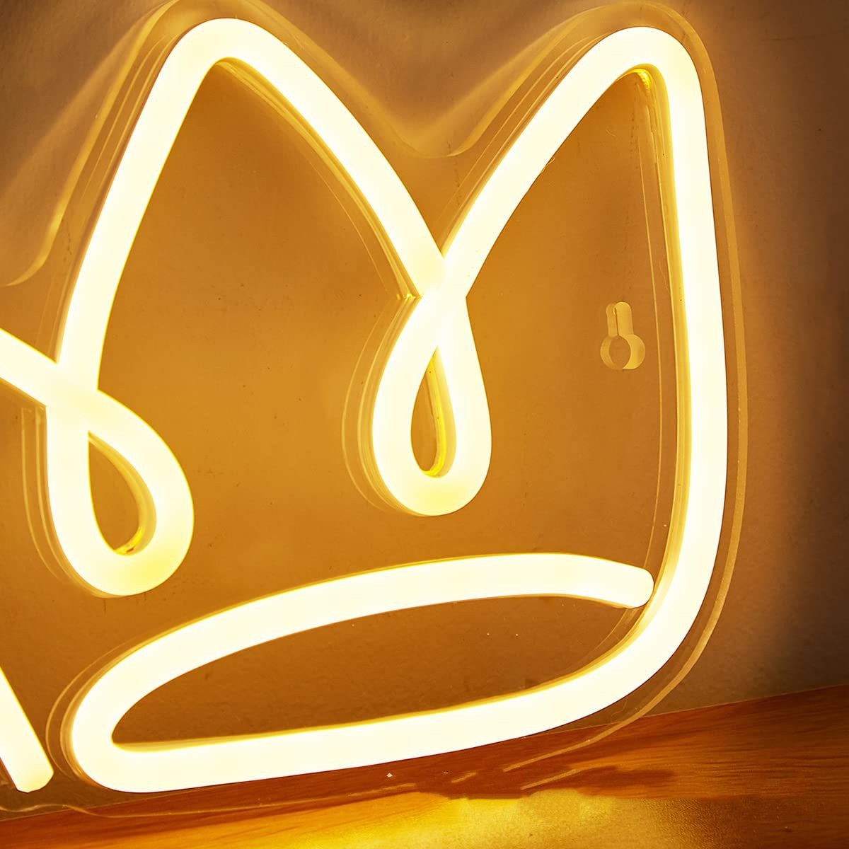 Neon Acrylic Light Plate - Creative Luminous Modeling