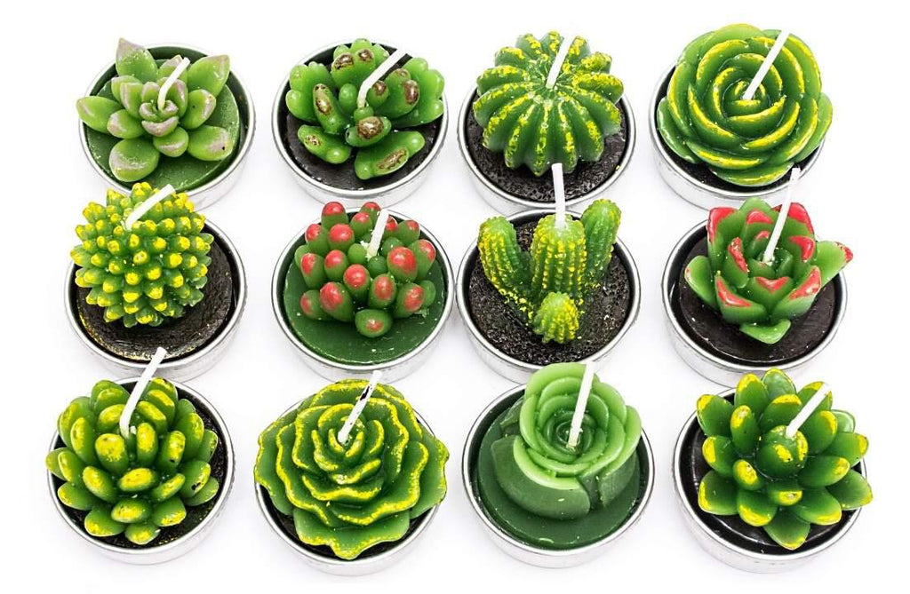 Simulated Succulent Candles - Aromatherapy 12-Pack