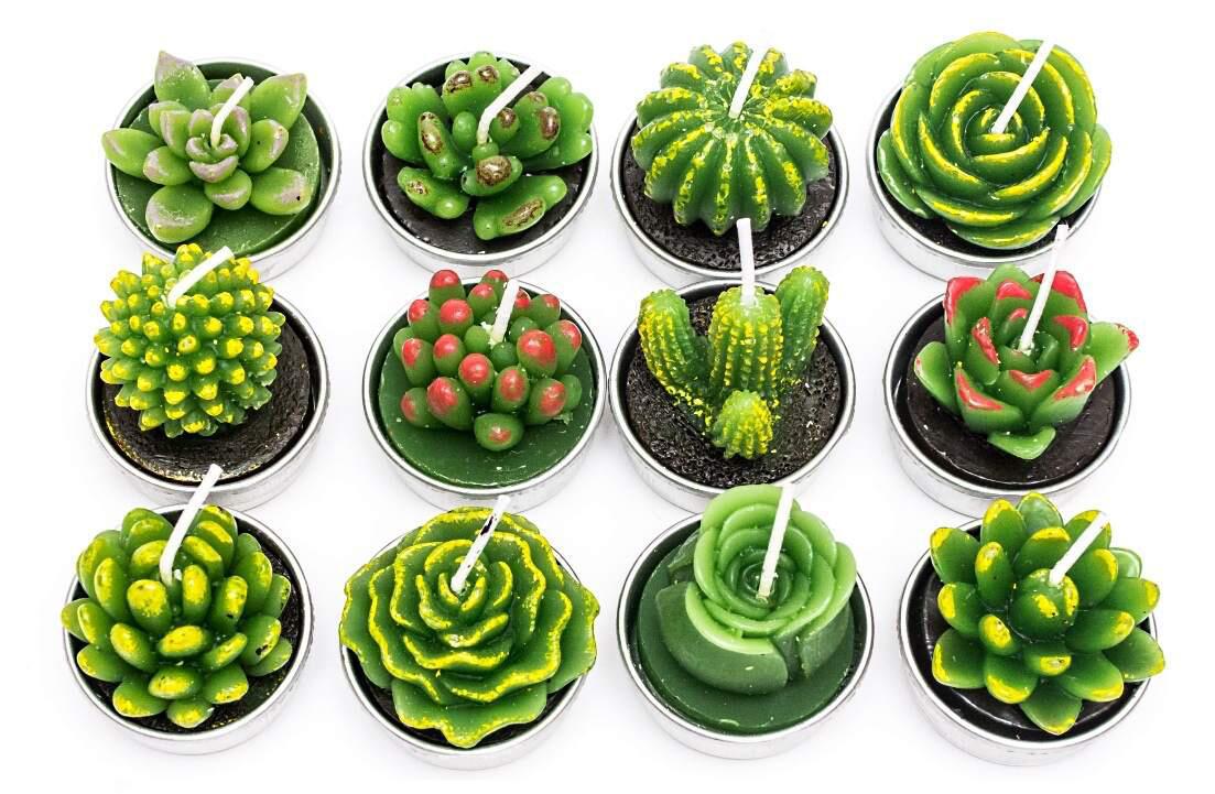 Simulated Succulent Candles - Aromatherapy 12-Pack