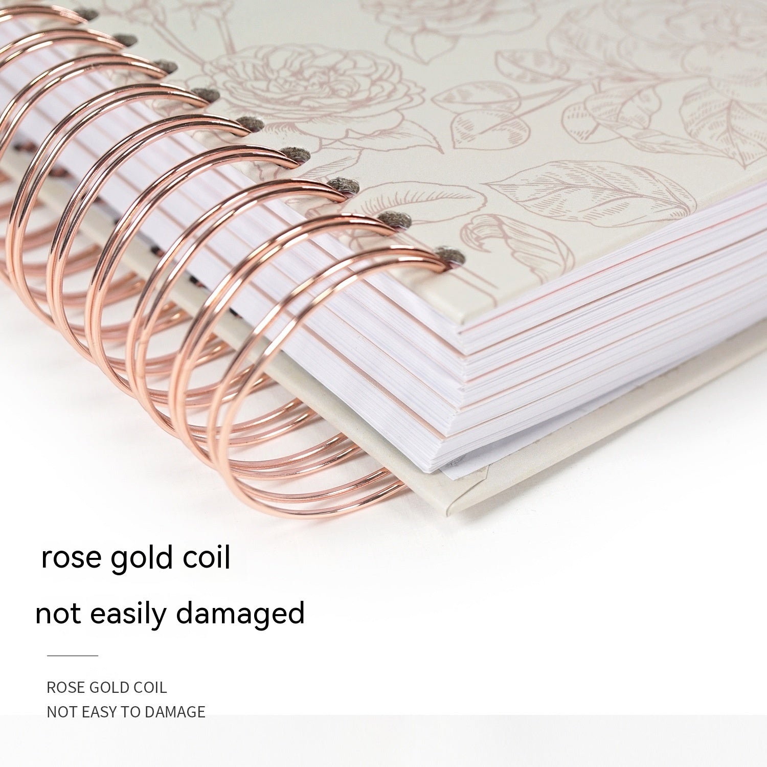 My Prayer Journal