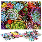 Succulent Plants Puzzle