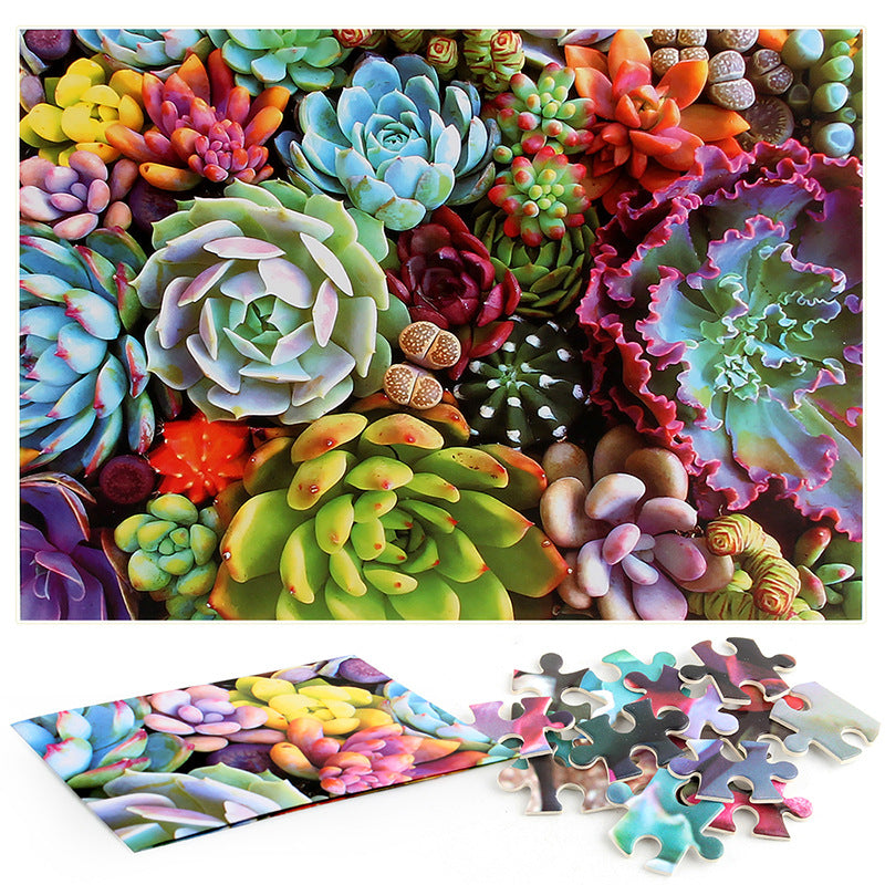 Succulent Plants Puzzle