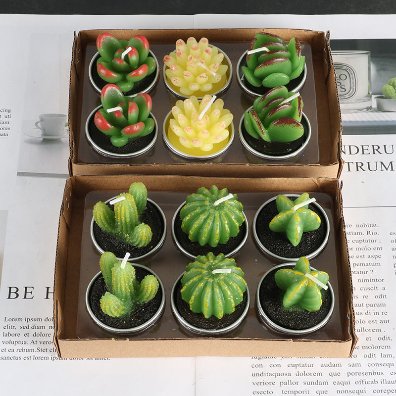 Simulated Succulent Candles - Aromatherapy 12-Pack
