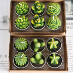 Simulated Succulent Candles - Aromatherapy 12-Pack