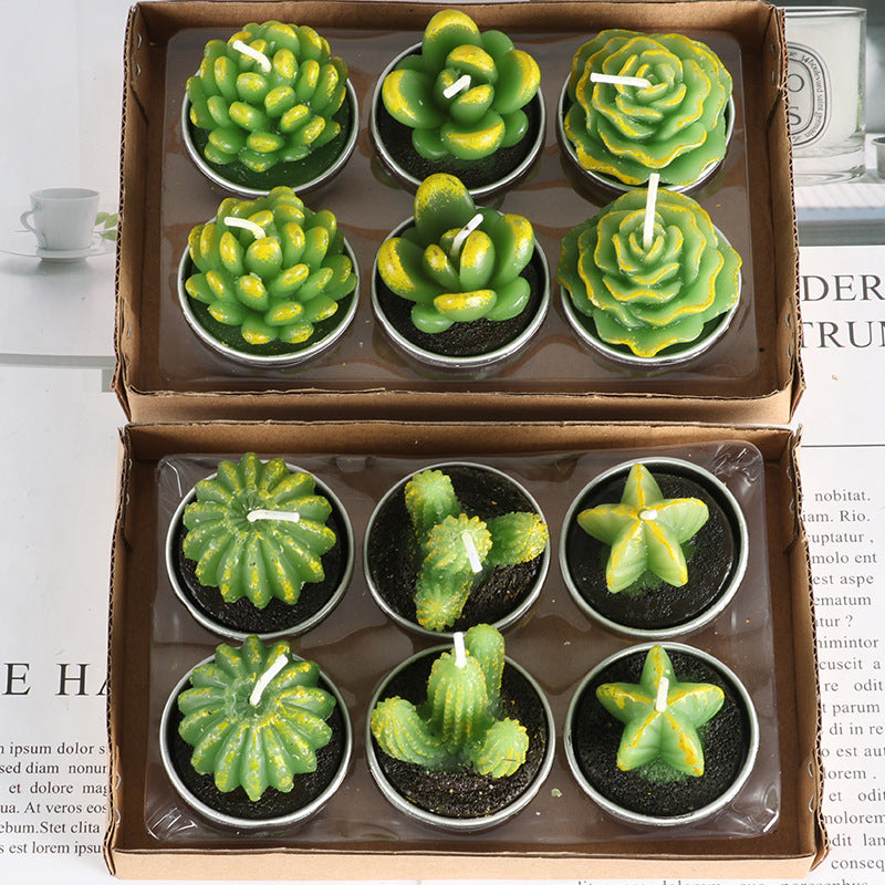 Simulated Succulent Candles - Aromatherapy 12-Pack