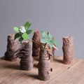 Vintage Bark Vase - Natural Rustic Design