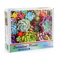 Succulent Plants Puzzle
