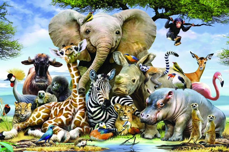 Engaging Puzzles