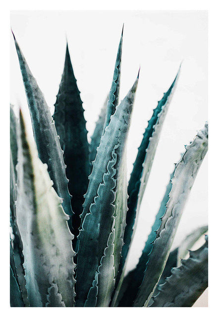 Cactus Flower Diamond Embroidery - Green Plant Design