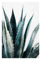 Cactus Flower Diamond Embroidery - Green Plant Design