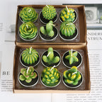 Simulated Succulent Candles - Aromatherapy 12-Pack