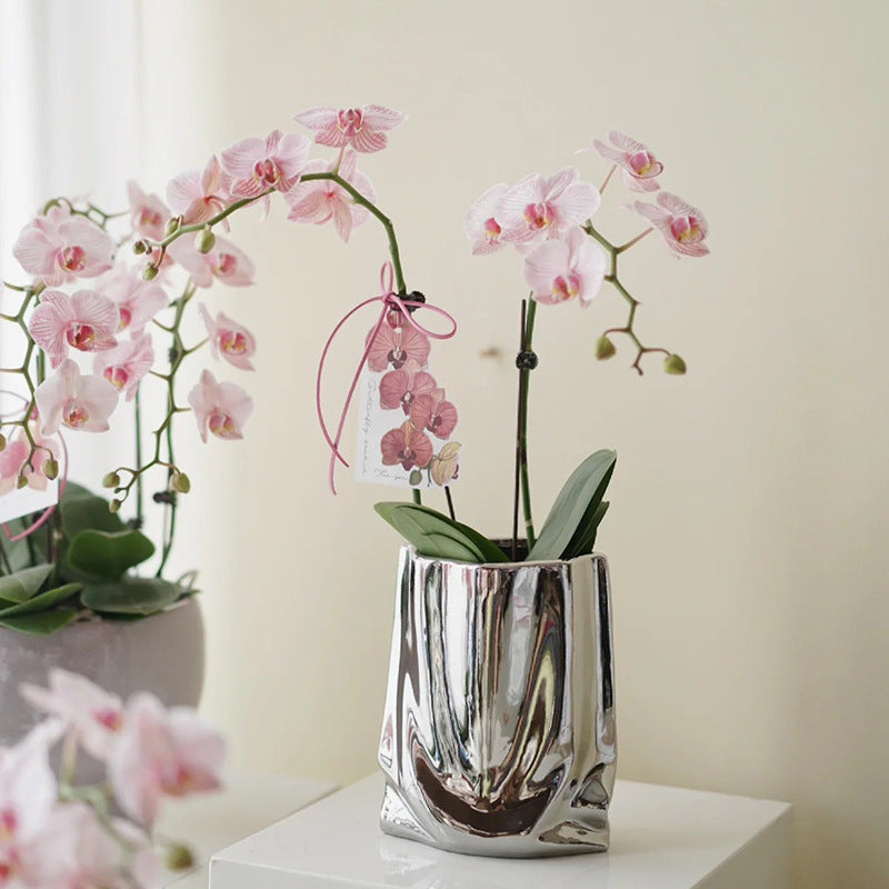 Light Luxury Electroplated Ceramic Vase - Household