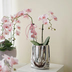 Light Luxury Electroplated Ceramic Vase - Household