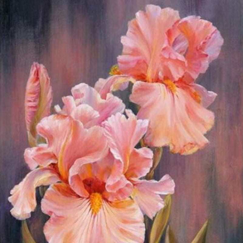 Stunning Flower Oil Paint By Numbers
