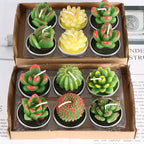 Simulated Succulent Candles - Aromatherapy 12-Pack