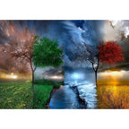 Paint by Number Trees in Seasons