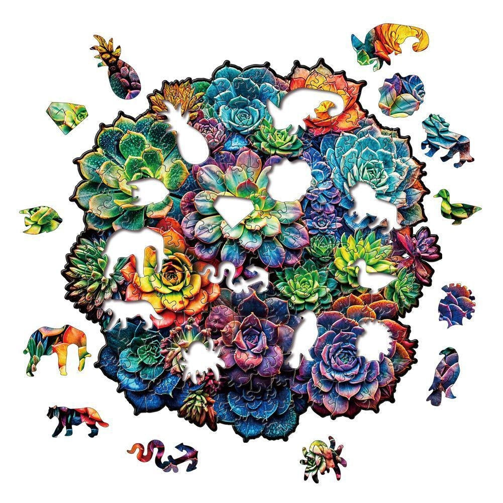 Succulent Plant Hidden Shapes Puzzle