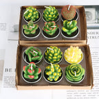 Simulated Succulent Candles - Aromatherapy 12-Pack