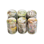 DIY Watercolor Camping Travel Journal Tape