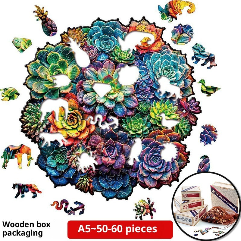 Succulent Plant Hidden Shapes Puzzle