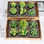 Simulated Succulent Candles - Aromatherapy 12-Pack