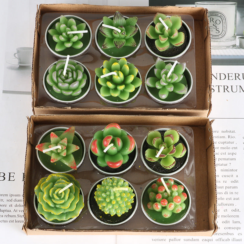 Simulated Succulent Candles - Aromatherapy 12-Pack