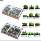 Simulated Succulent Candles - Aromatherapy 12-Pack