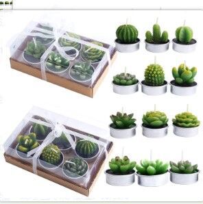 Simulated Succulent Candles - Aromatherapy 12-Pack